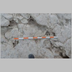 DSCN0682cr-2 babies.jpg